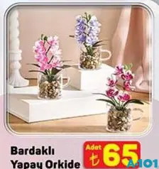 BARDAKLI YAPAY ORKİDE indirimli fiyat BARDAKLI YAPAY ORKİDE fiyat ve kampanya bilgisi